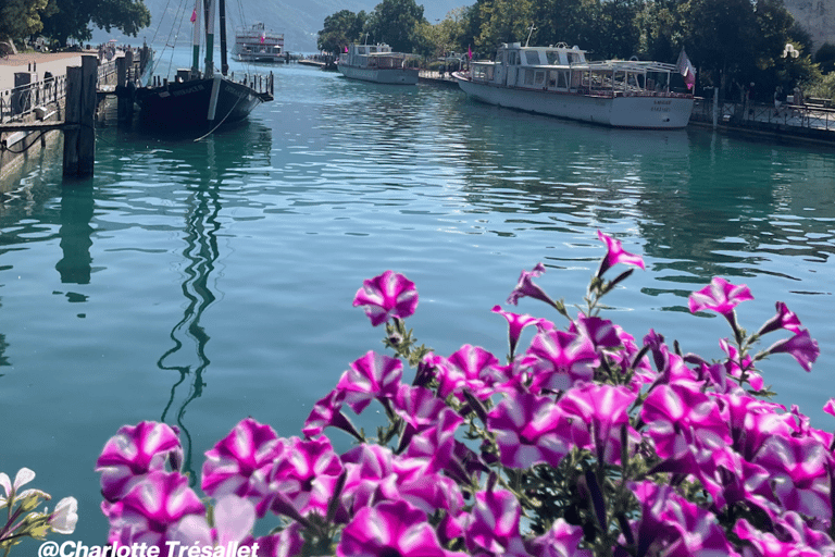 Annecy: Privé wandeltour met een lokale gidsAnnecy: 1 uur privéwandeltour met een lokale gids