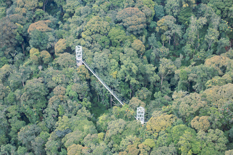 Kigali - Nyungwe: 2 Days Nyungwe Chimpanzee Trekking Tour