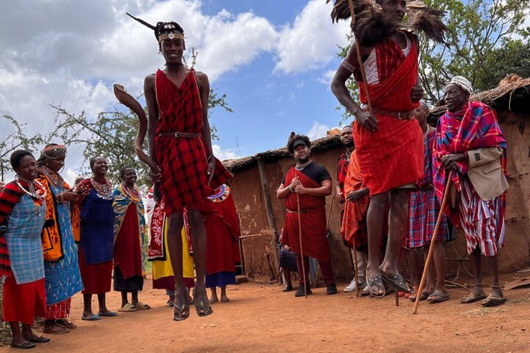 EXCURSION D&#039;UNE JOURNÉE DANS UN VILLAGE MASAI