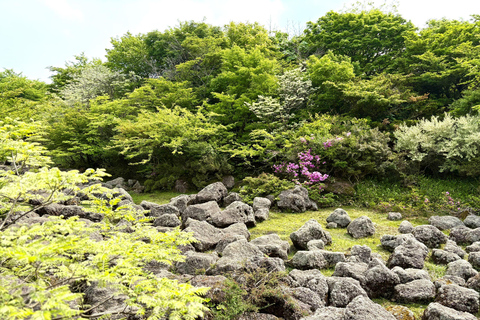 Jeju Small Group Tour incl. Yacht Cruise, Falls & Mt.Halla Jeju Small Group Tour with Yacht Cruise, Falls & Mt.Halla