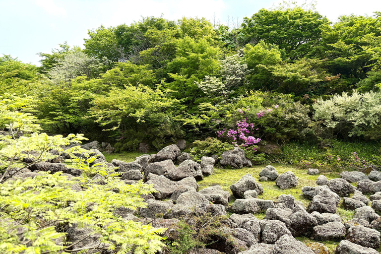 Jeju Small Group Tour incl. Yacht Cruise, Falls & Mt.Halla Jeju Small Group Tour with Yacht Cruise, Falls & Mt.Halla