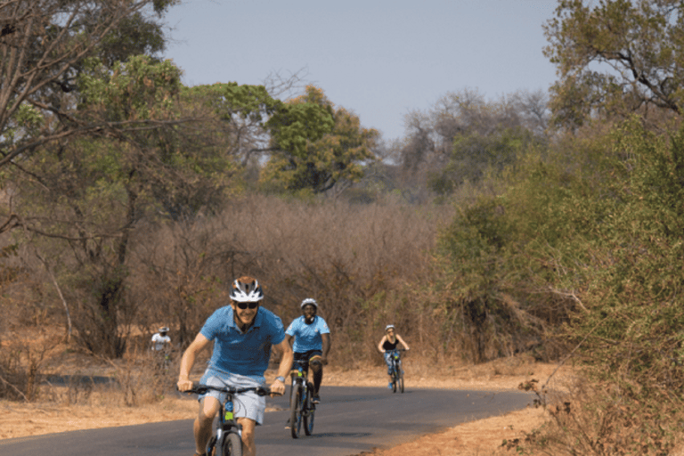 Victoria Falls: Guided Bicycle Tour with Local Guide