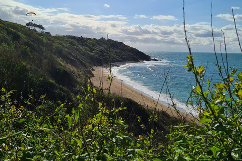 Private Basque Country Tour: Hidden Villages & Local Food 4-Hour Private Basque Country Tour - Short Introduction