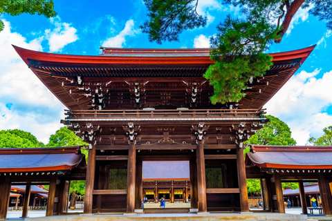 Tokyo: Private Luxury Day Tour with Hotel Pickup and DropOff