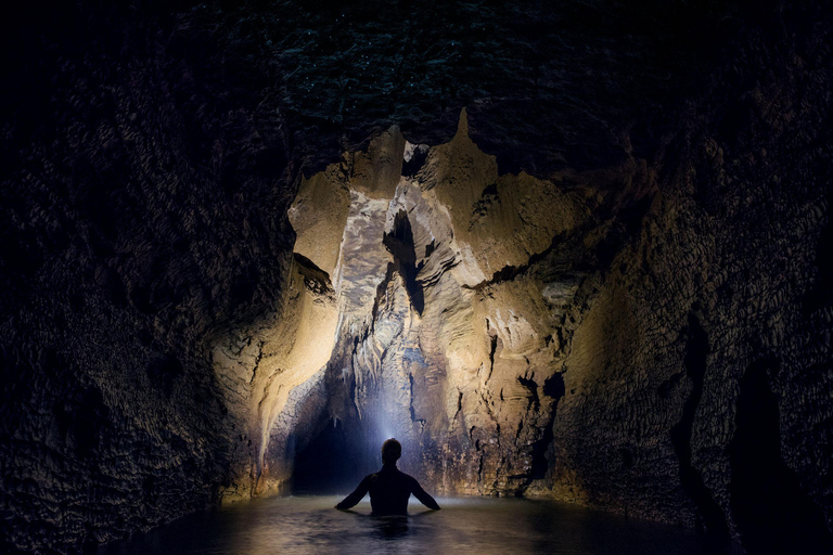 Från Auckland: Waitomo Caves Black Abyss Adventure Tour