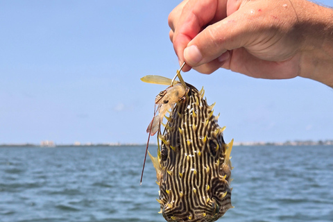 Sarasota Florida: Skyway Fishing ToursBegib dich auf ein aufregendes Abenteuer mit Skyway Fishing Tours