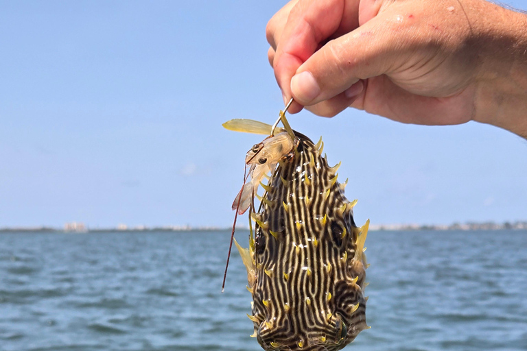 Sarasota Florida: Skyway Fishing ToursBegib dich auf ein aufregendes Abenteuer mit Skyway Fishing Tours