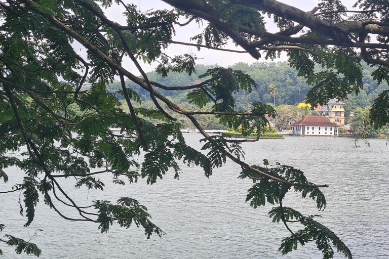 Kandy: Day Tour Explore 10 Top Attractions Tickets Included