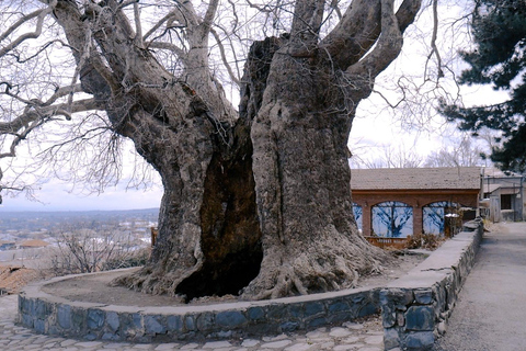 Tbilisi: Kakheti Wine Region Day Trip with Tastings