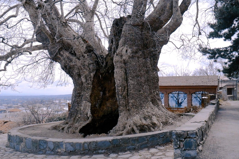 Tbilisi: Kakheti Wine Region Day Trip with Tastings