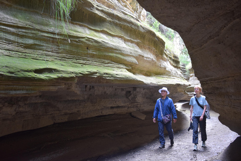 1-Day Crescent Island Walking Safari and Hell's Gate Biking Crescent Island Walking Safari (from Nairobi)