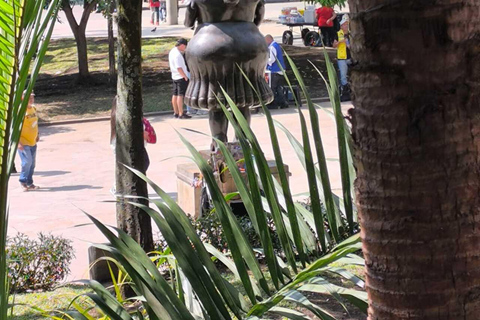 Medellín Through Time – City Sightseeing Tour | Subway, Metrocable, and Historic Center