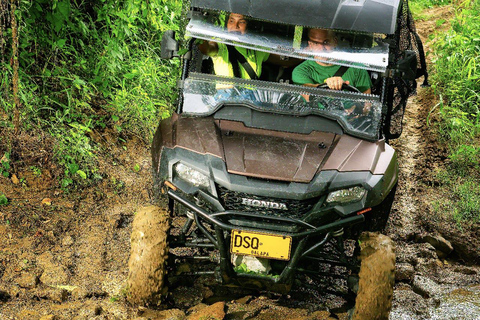 Villanueva: Fundación Loros Sunset Tour with Winetasting