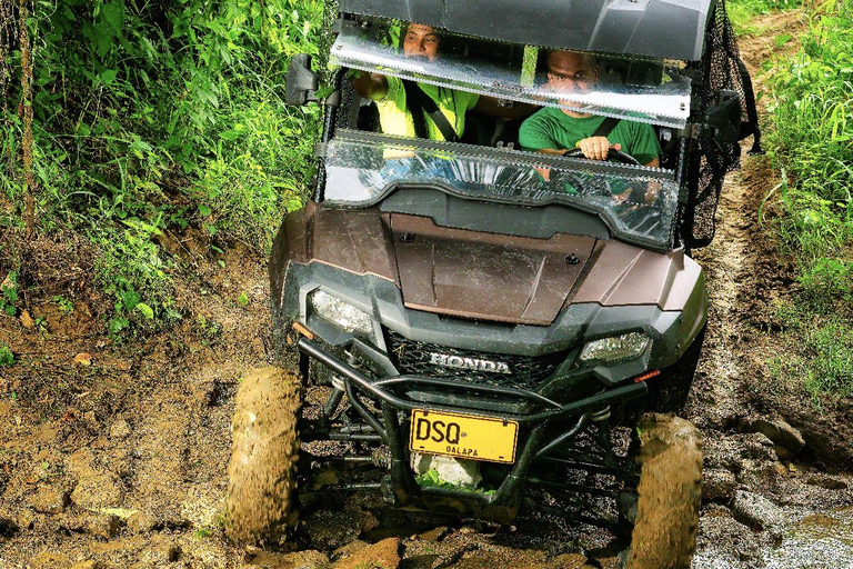 Villanueva: Fundación Loros Sunset Tour with Winetasting