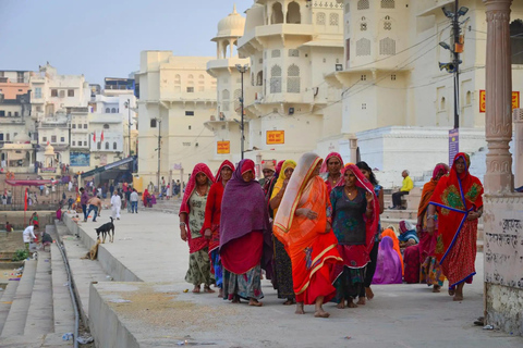 Delhi: 8 Days Golden Triangle with Udaipur or Pushkar Tour Tour with 5-Star Hotel Accommodation