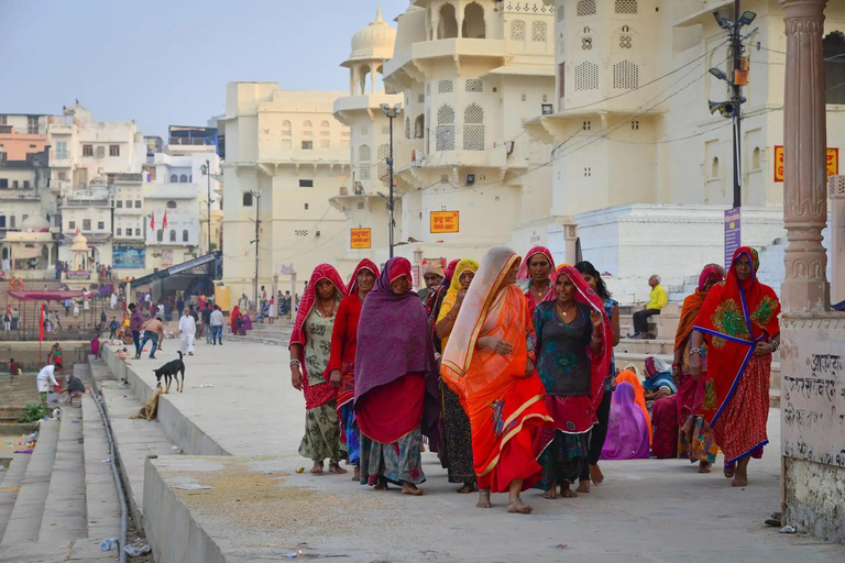 Delhi: 8 Days Golden Triangle with Udaipur or Pushkar Tour Tour with 5-Star Hotel Accommodation
