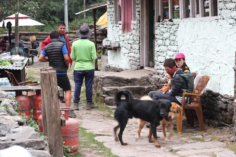 Journey Through Langtang: A 6-Day Trek with Meals