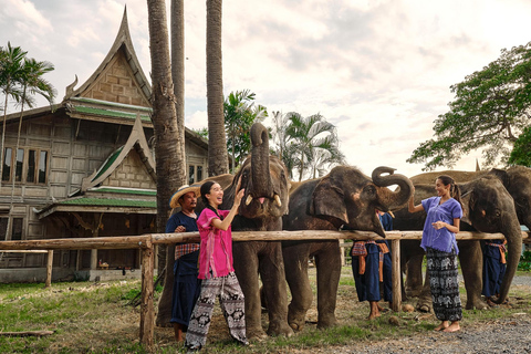 Bangkok Elephant Park: Meio dia de cuidados com elefantesHD Elephant Care com serviço de busca no hotel e traslado de ida e volta (particular)