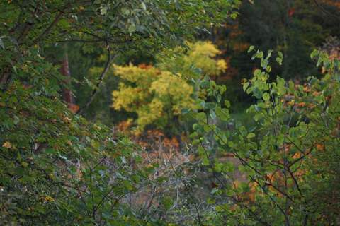 Tbilisi: Top to Bottom - Gardens, Waterfalls & Hidden Gems Small Group - Gardens, Waterfalls & Hidden Gems