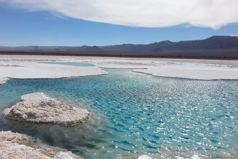 Salt flats, colorful lagoons 3d 2n Tour + Transfer San Pedro