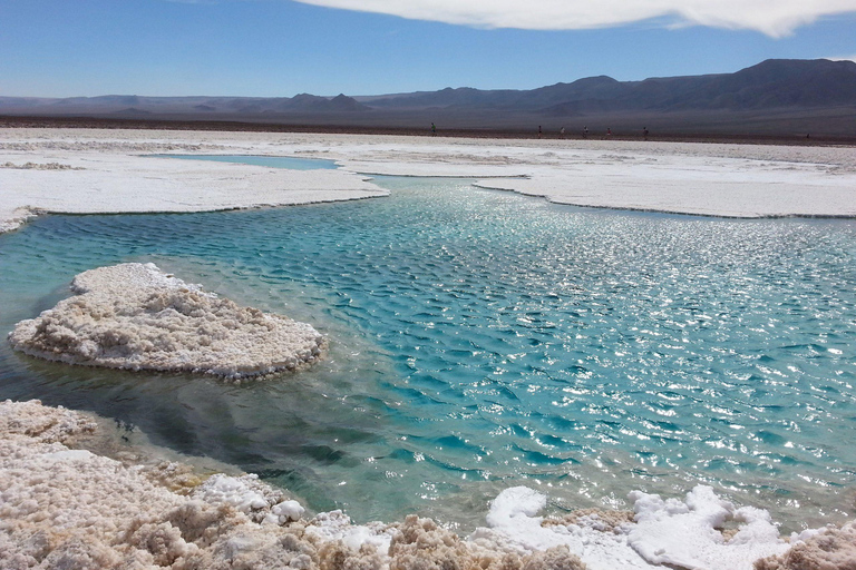 Salt flats, colorful lagoons 3d 2n Tour + Transfer San Pedro