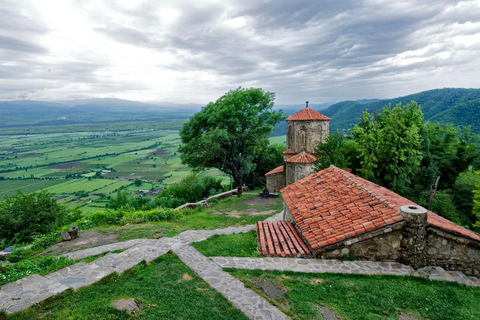 From Tbilisi: Kakheti Private Tour with Wine Tasting
