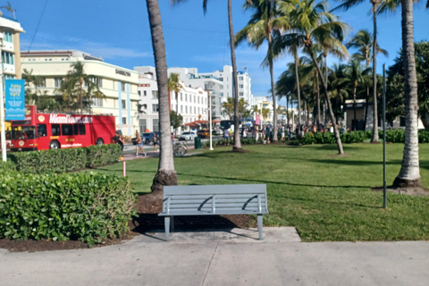 Miami: Small-Group City Tour