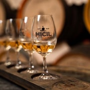 Galway: Micil Distillery Tasting of Gin, Poitín, & Whiskey