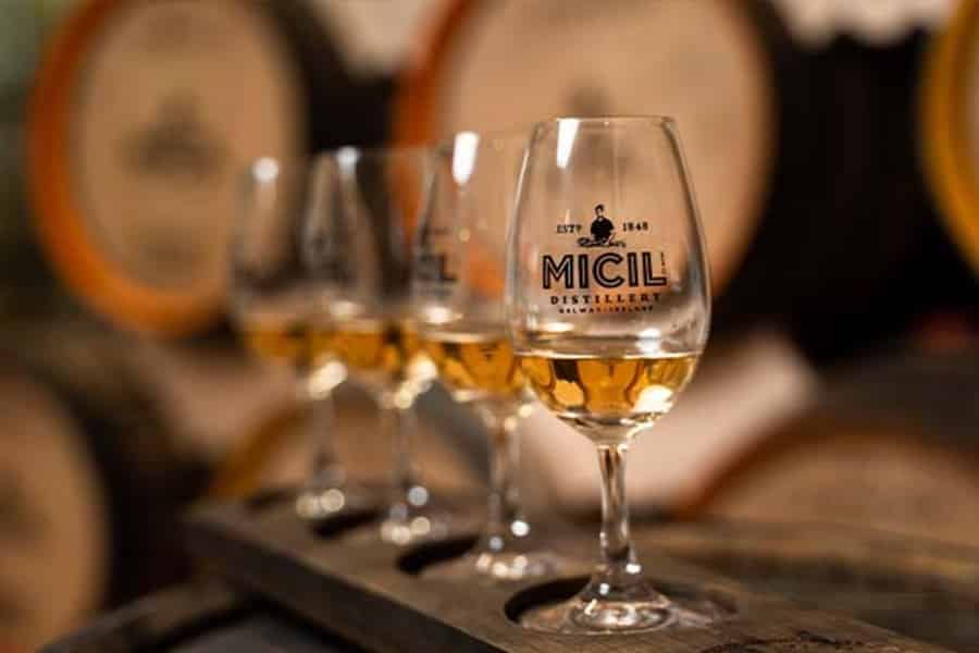 Galway: Micil Distillery Tasting of Gin, Poitín & Whiskey