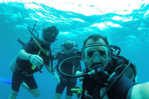 Cancun or Isla Mujeres Reef Diving for Beginners