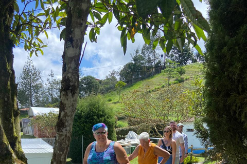 Private Medellín Cannabis Culture Tour with Lunch & Tasting