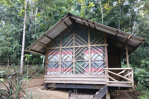3-Day Amazon Expedition: Jungle, River & Wildlife Tour