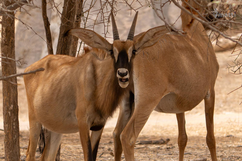 Rezerwat dzikiej przyrody Bandia i wycieczka nad różowe jezioro