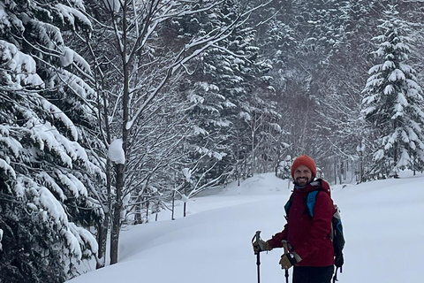 Shikotsu-Toya National Park: Guided Snowshoe Hike and Onsen Shikotsu-Toya National Park: Guided Snowshoe Hike and Onsen.