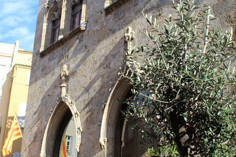 Balade historique dans Perpignan