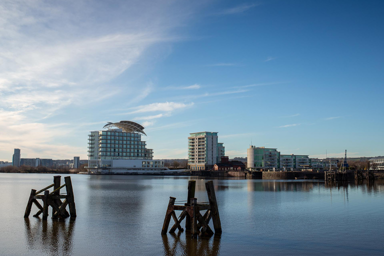 Cardiff: Bay Trail, St Fagans & Cathedral Half Day Tour