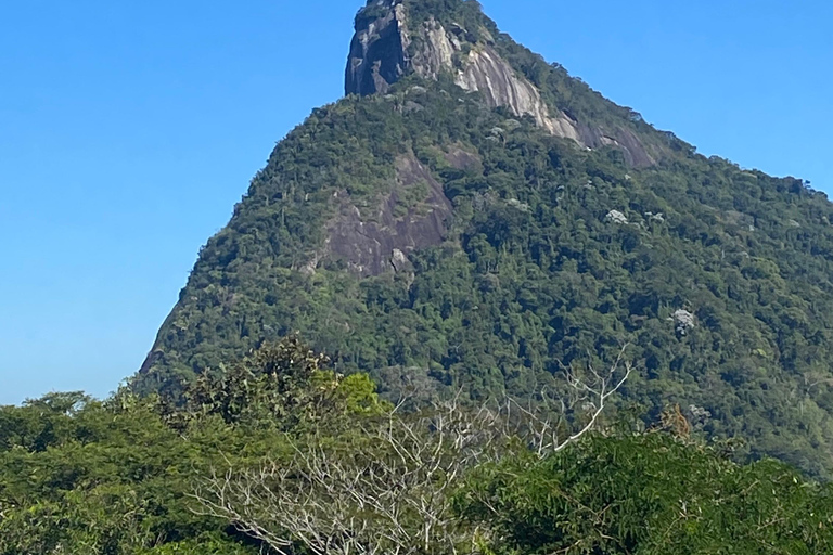 Rio: Cultural Tour of Santa Teresa