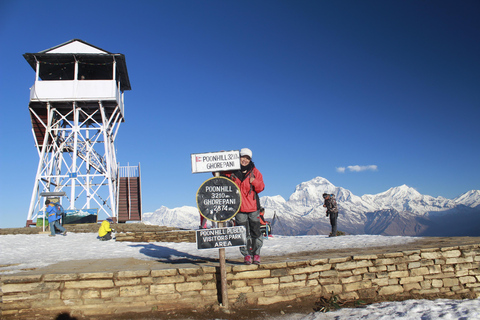 Von Pokhara: 3 Tage 2 Nächte Annapurna Poon Hill Short Trek