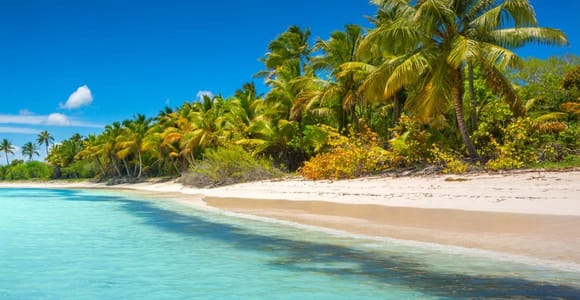 Miches: Isla Saona Day Trip with Catamaran & Lunch
