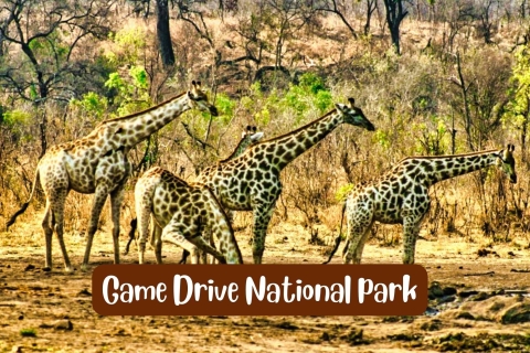 Chutes Victoria : Parc national du ZambèzeVisite en petit groupe
