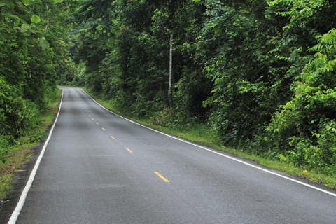 From Bangkok: Khao Yai National Park Day Trip
