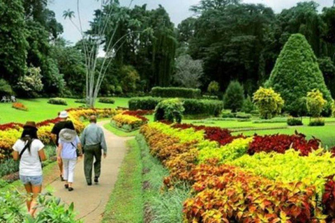 Kandy to Ella Transfer With Lakes, Falls & Botanical Garden