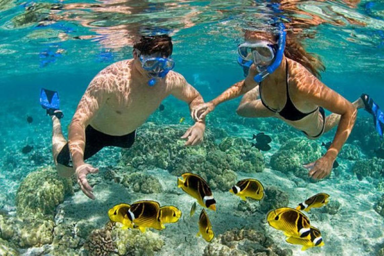 Mandelieu: Full day boat jet-ski paddle underwtaer scooter..