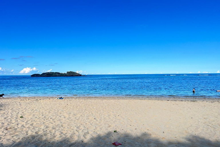 Puerto Plata: Off-Road Buggy through the Jungle and Colorful Streets