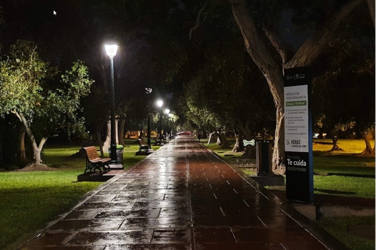 Mach einen einstündigen Spaziergang durch die versteckten Juwelen des Parks El Olivar