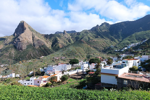 Puerto de la Cruz: Foresta di Avatar -Taganana-Teresitas+coda