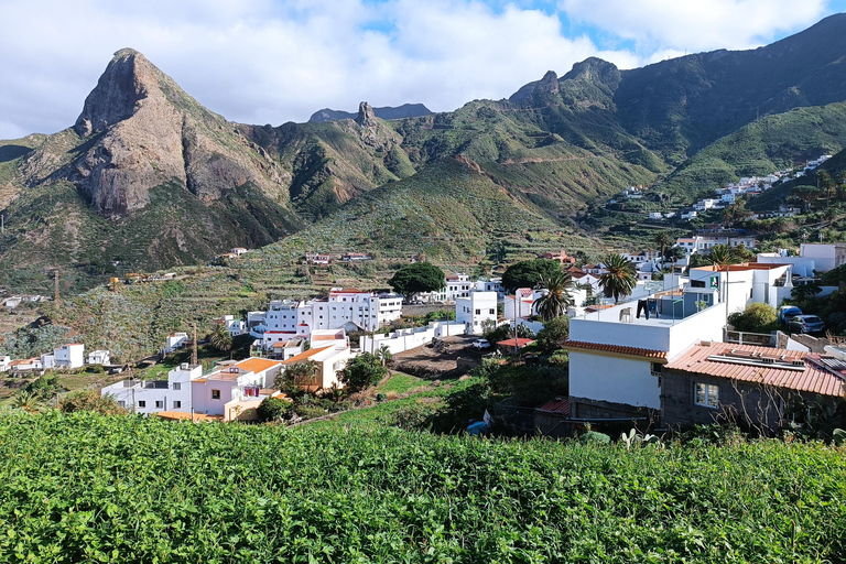 Puerto de la Cruz: Avatar-skogen -Taganana-Teresitas+coctail