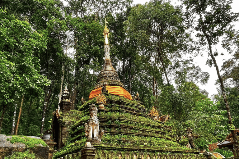 Chiang Mai: Hmong Village, Doi Suthep and Wat Pha Lat Trek