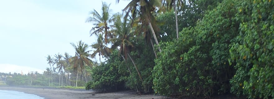 Bali : aventure avec les buffles roses et expérience culinaire