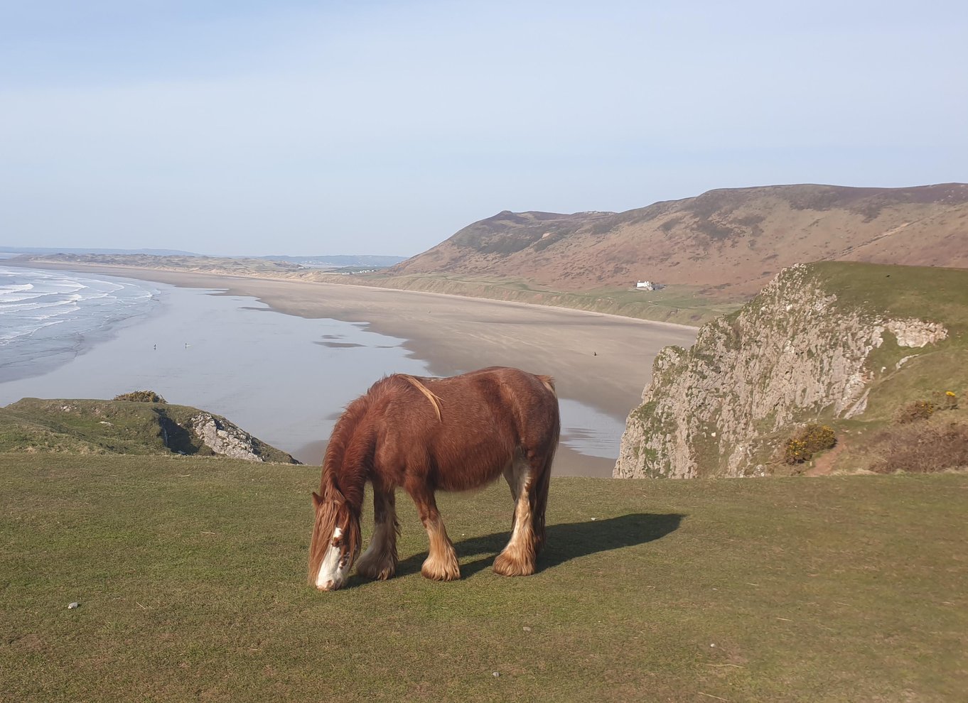 Fra Cardiff: Mumbles og Gower Peninsular Tour
